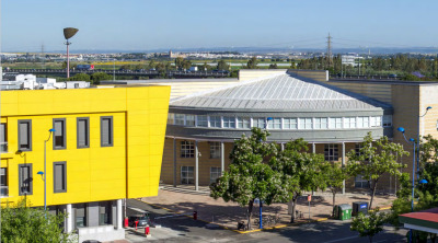 The institute